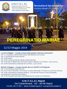 Peregrinatio Mariae 2014